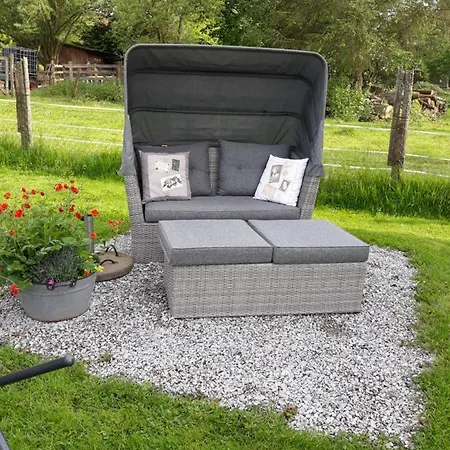 Sonnentau 1 * Holzminden
