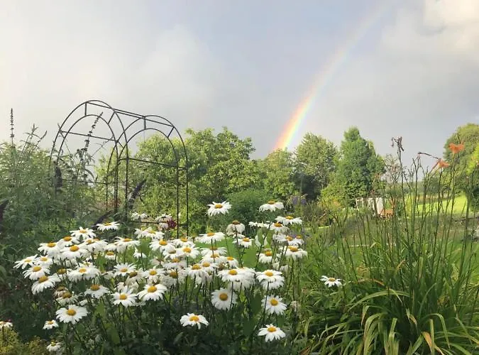 Sonnentau 1 * Holzminden