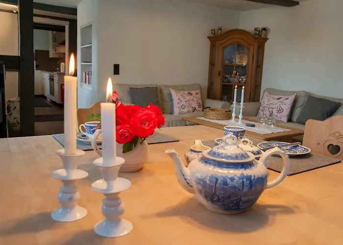 Sonnentau 1 Holzminden